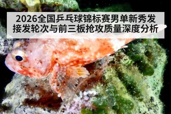 2026全国乒乓球锦标赛男单新秀发接发轮次与前三板抢攻质量深度分析