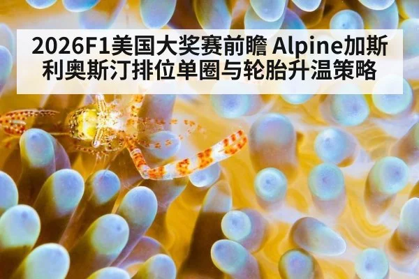 2026F1美国大奖赛前瞻 Alpine加斯利奥斯汀排位单圈与轮胎升温策略